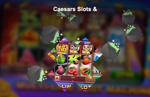 Wild slots casino free spins